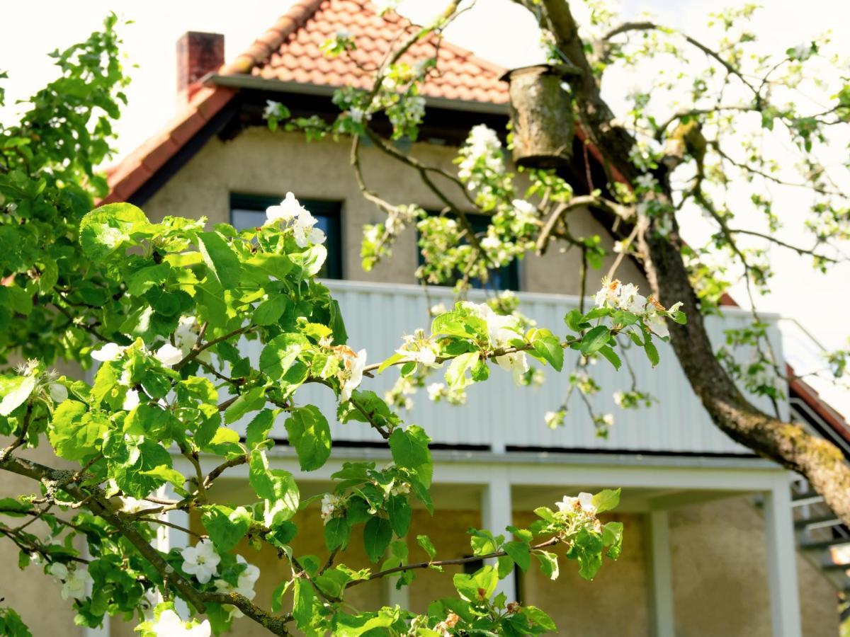 Ferienwohnung Rohlffs Stolpe Auf Usedom Stolpe auf Usedom Exterior foto